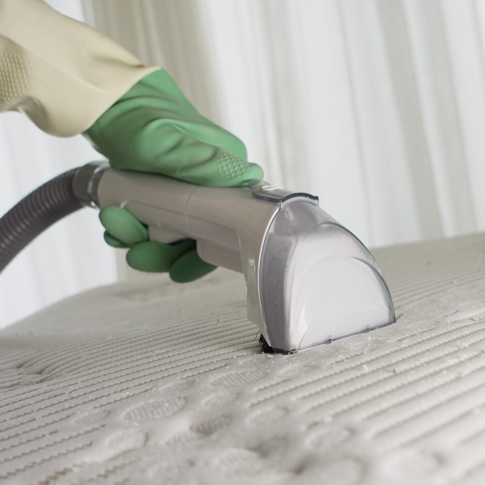 Upholstery Cleaning